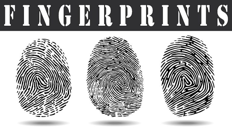 fingerprints