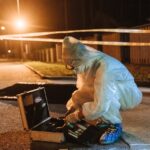 investigator in the crime scene